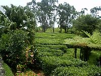 Fotó – 2005 - 3B8/HA7TM - Mauritius