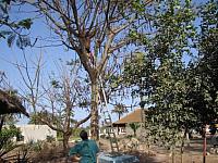 Fotó – 2006 - J5UTM - Bissau-Guinea